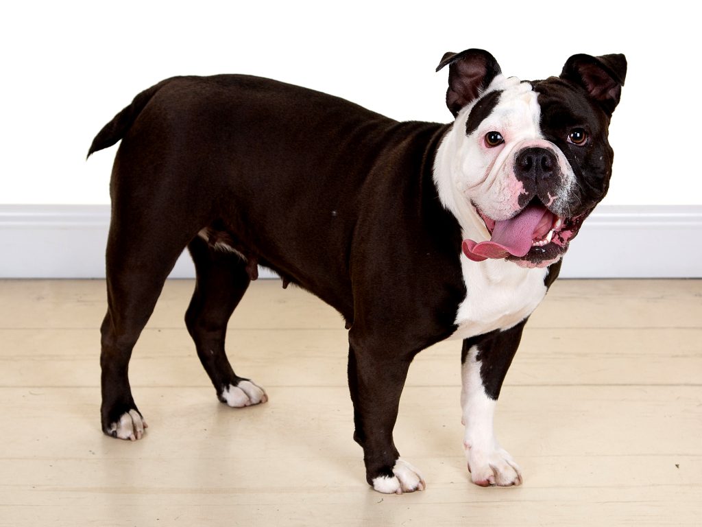 Gallery 2025 92 Layla Robinson