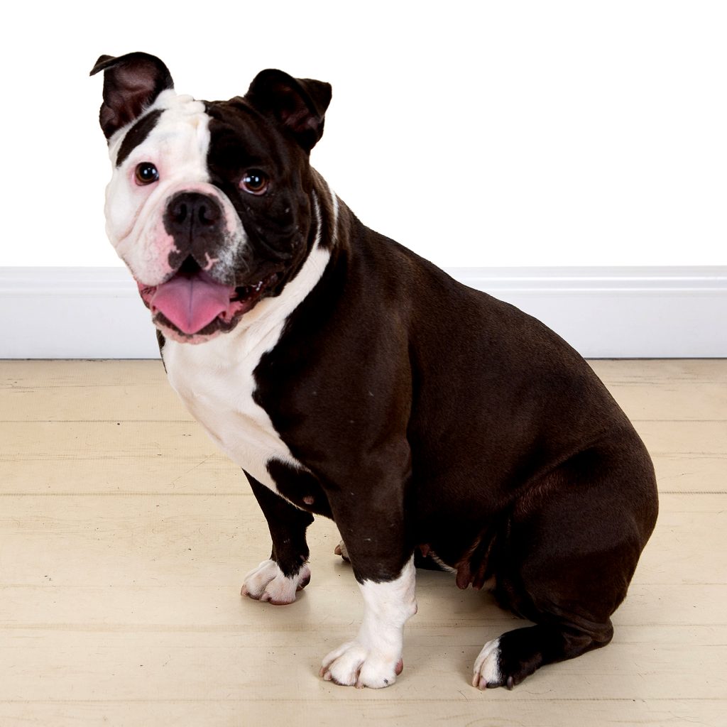 Gallery 2025 94 Layla Robinson