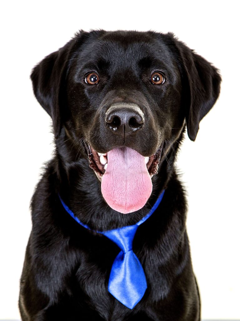 Gallery 2025 95 Loki Hind