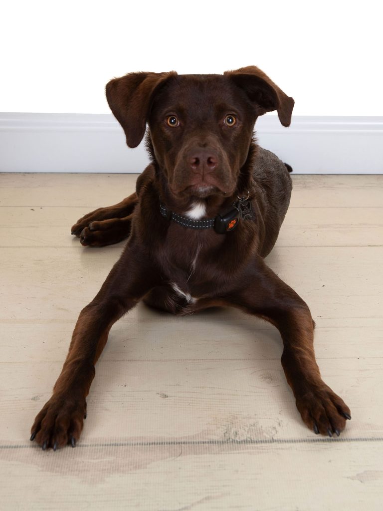 Gallery 2025 97 Loki Langley