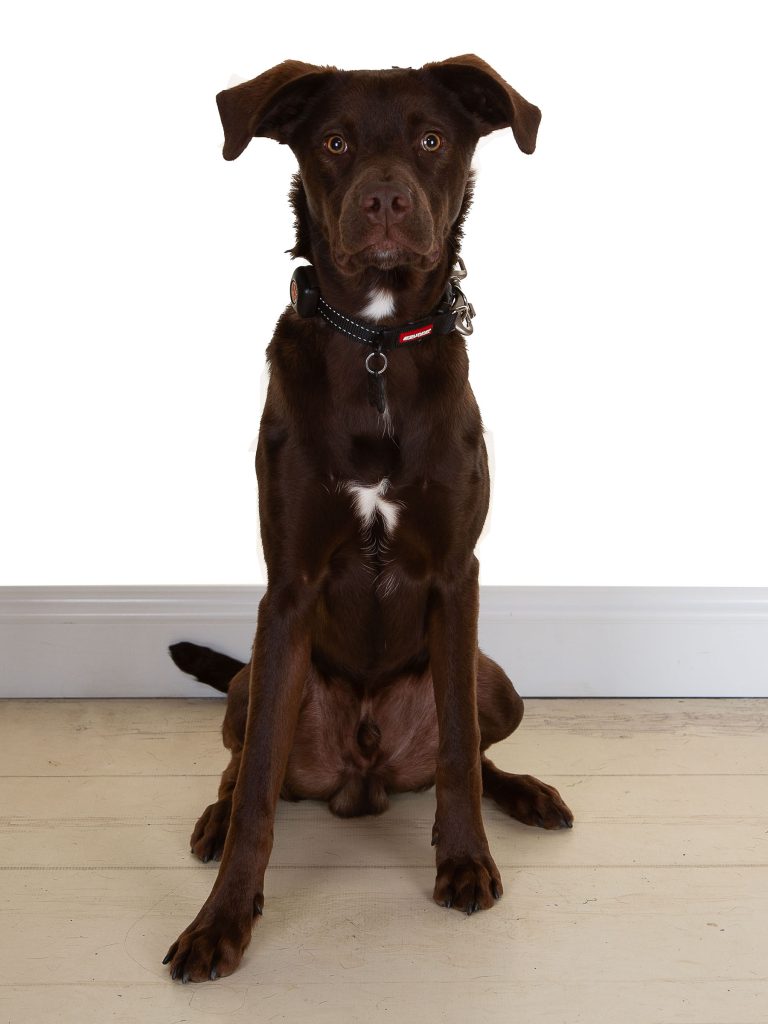 Gallery 2025 99 Loki Langley