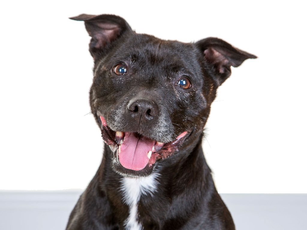 Gallery 2025 100 Lola Wynn