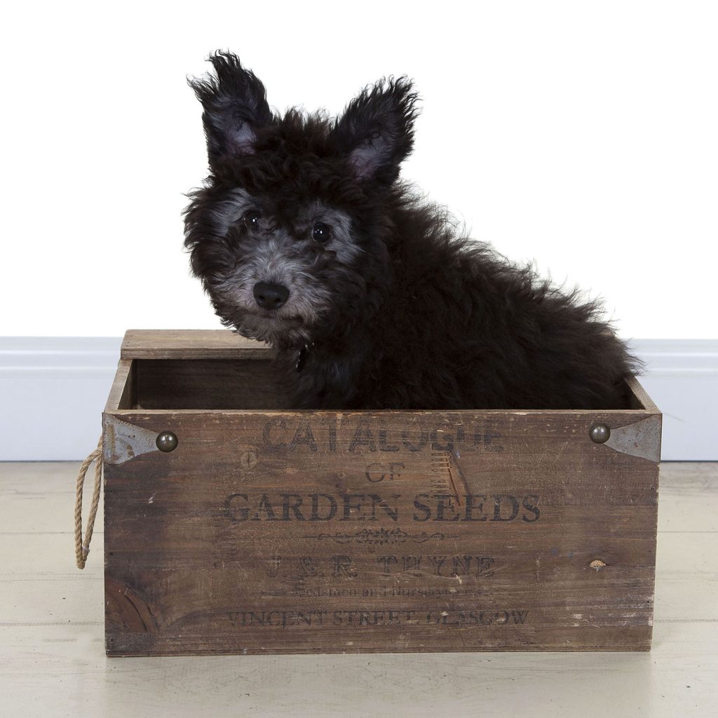 Gallery 2025 102 Luka Benstead