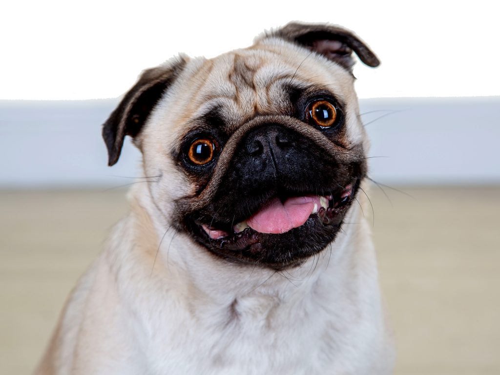 Gallery 2025 104 Lula Patterson