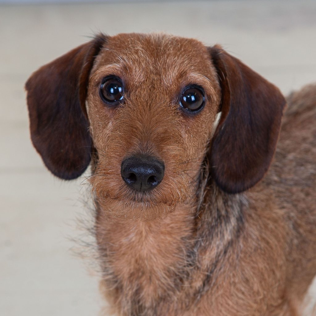 Gallery 2025 105 Mabelle Hill