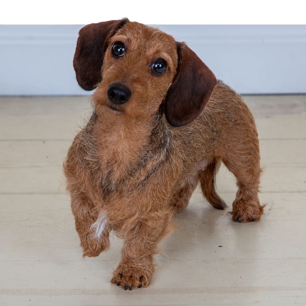 Gallery 2025 106 Mabelle Hill