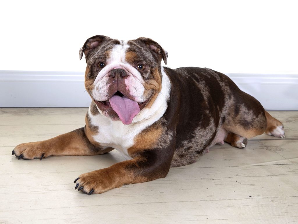 Gallery 2025 107 Maddie Brotherton