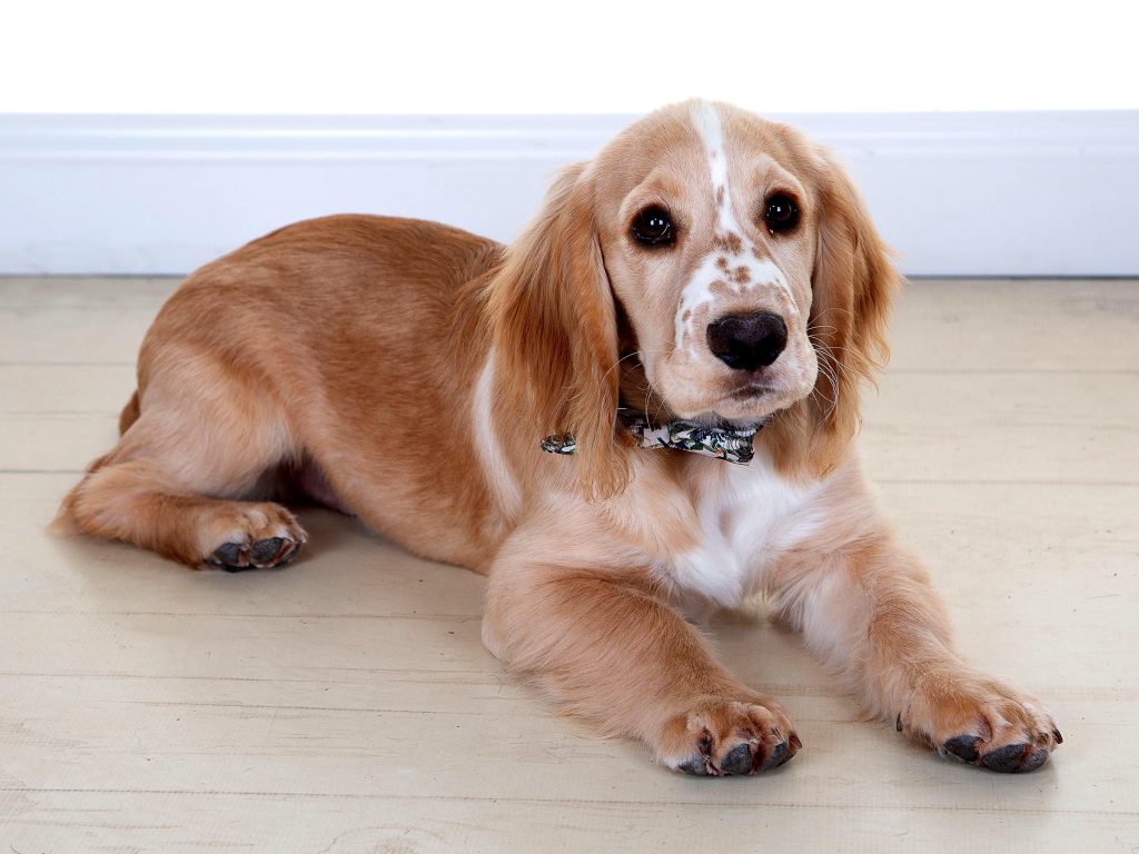 Gallery 2025 108 Maverick Simpson