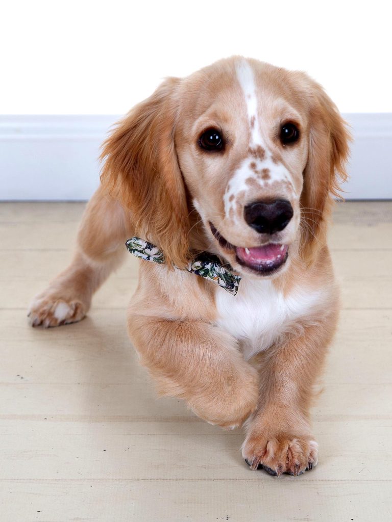 Gallery 2025 109 Maverick Simpson