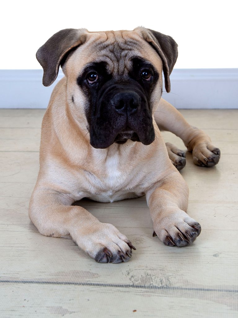 Gallery 2025 125 Neally Wilson