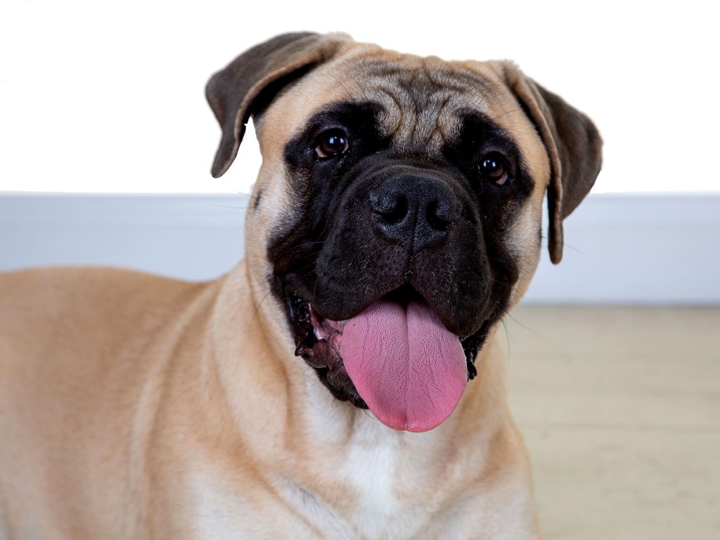 Gallery 2025 126 Neally Wilson (2)