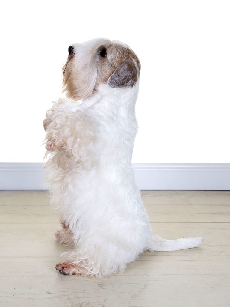 Gallery 2025 128 Oliver Bell