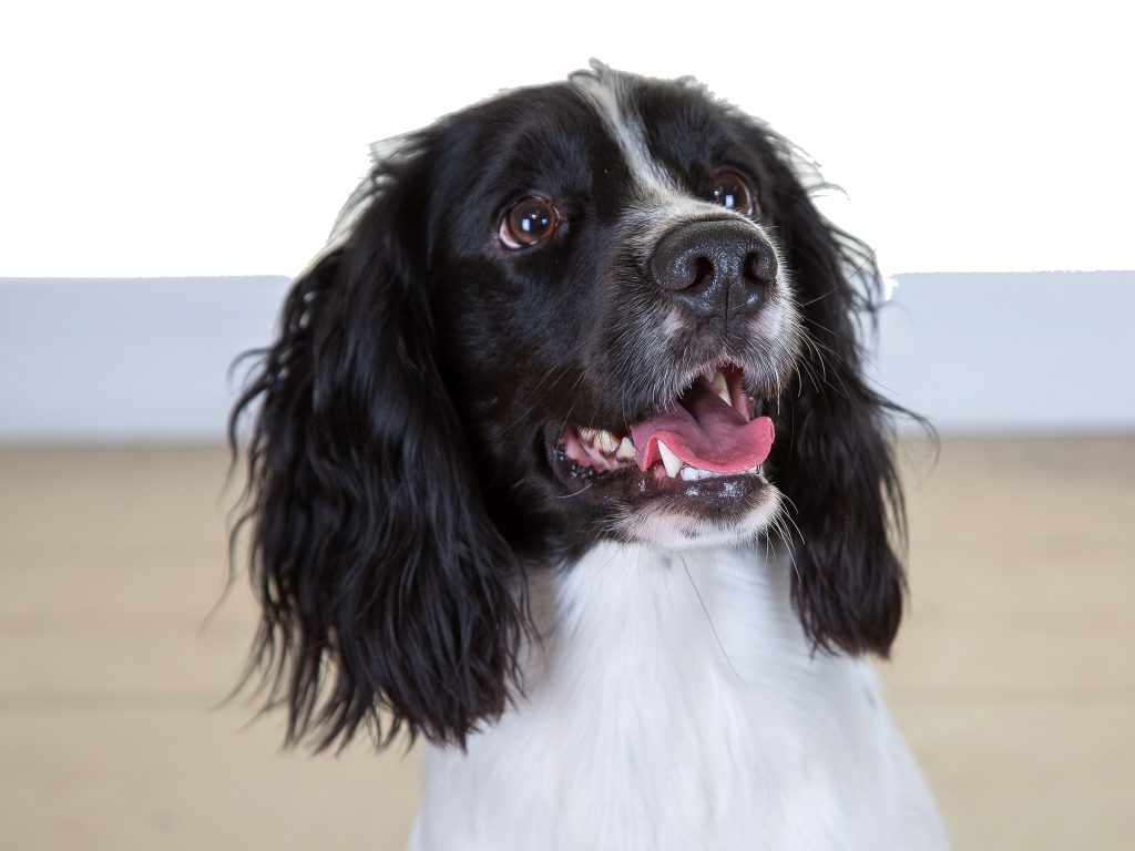 Gallery 2025 129 Oscar Gallagher