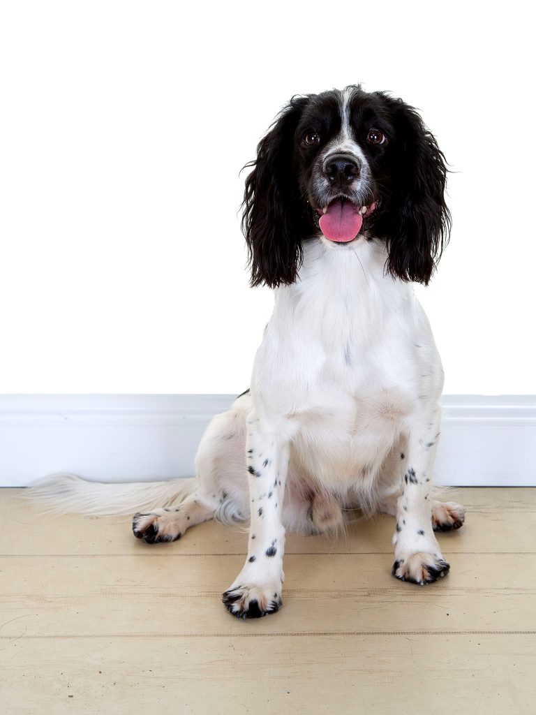 Gallery 2025 130 Oscar Gallagher