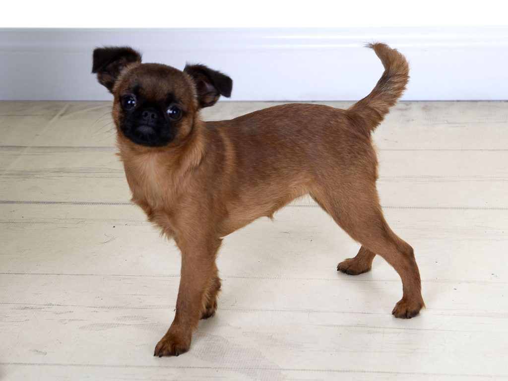 Gallery 2025 140 Poppy Potts