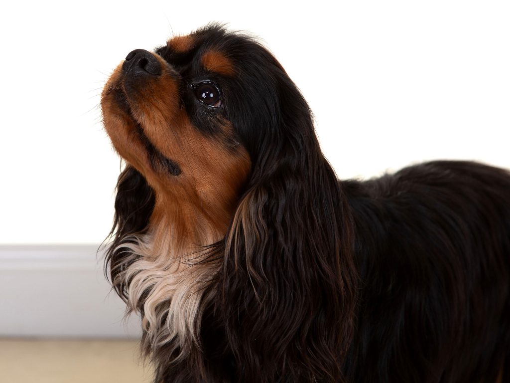 Gallery 2025 142 Remi Linton