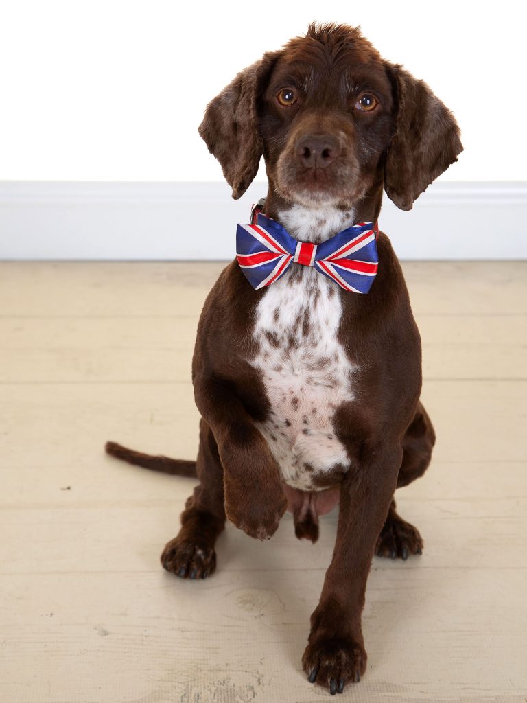 Gallery 2025 143 Rocco Foley