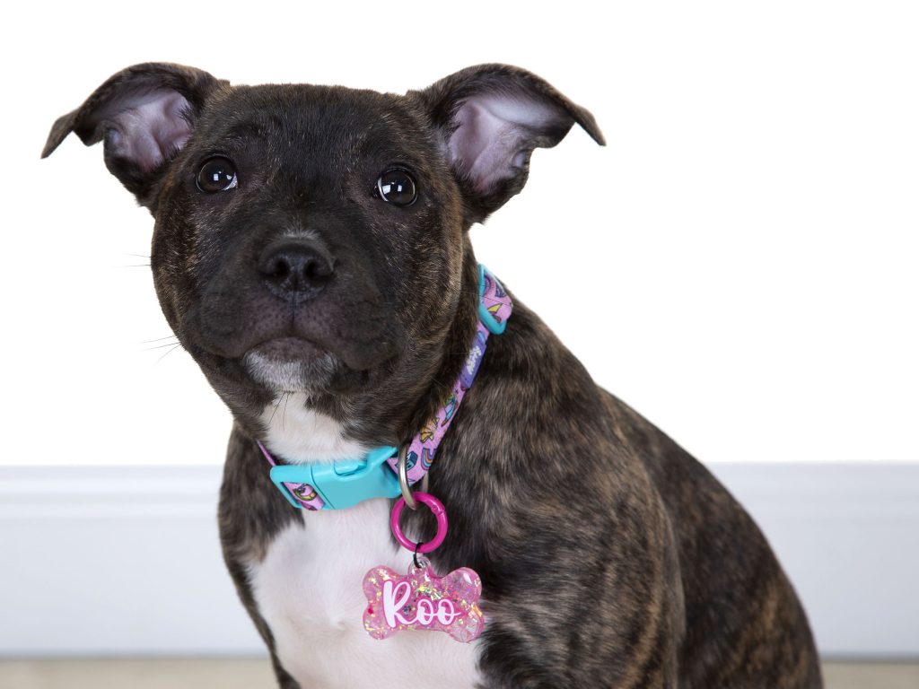 Gallery 2025 148 Roo Aitchison