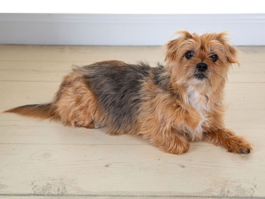 Gallery 2025 149 Rossi Place