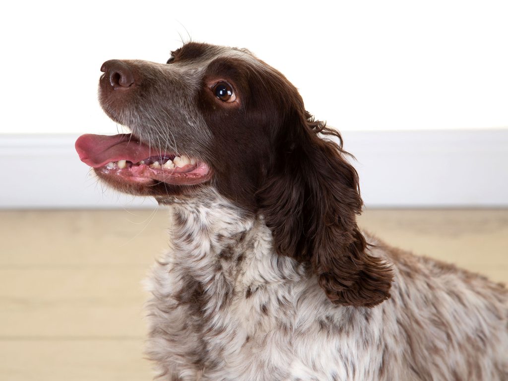 Gallery 2025 150 Roxy Hall