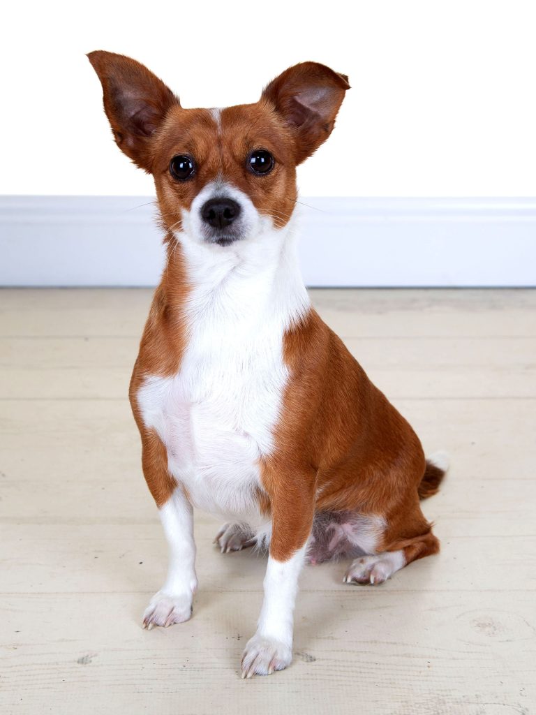 Gallery 2025 152 Skye Finkle