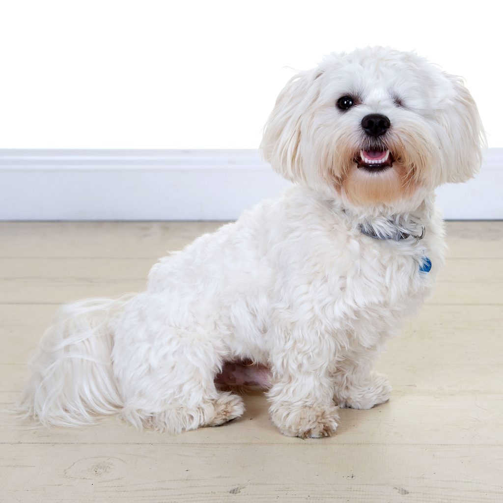 Gallery 2025 154 Stevie Graham