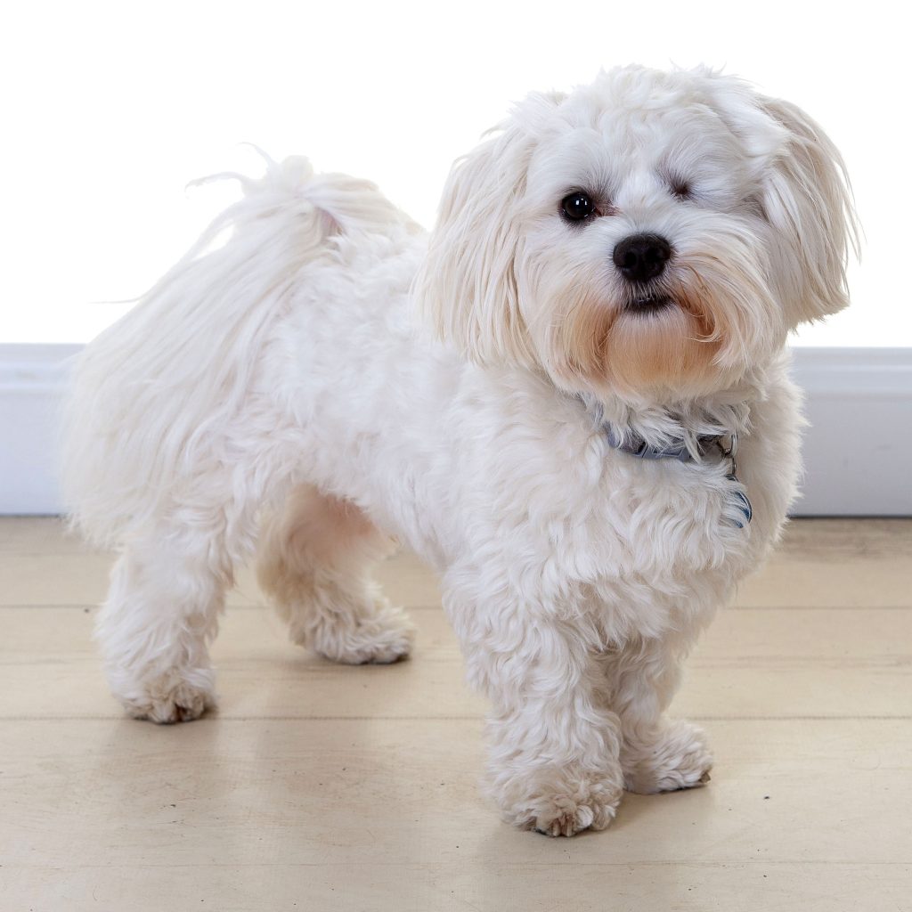 Gallery 2025 155 Stevie Graham