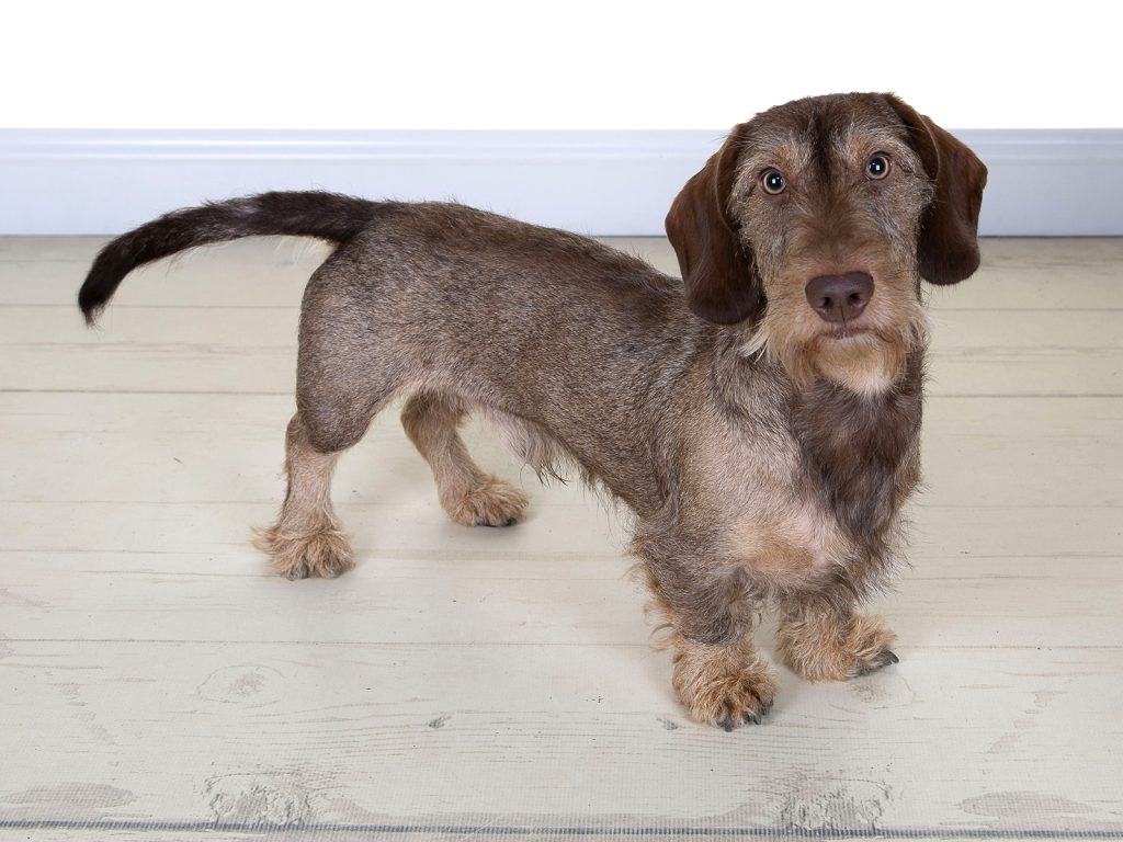 Gallery 2025 157 Toby Dougal