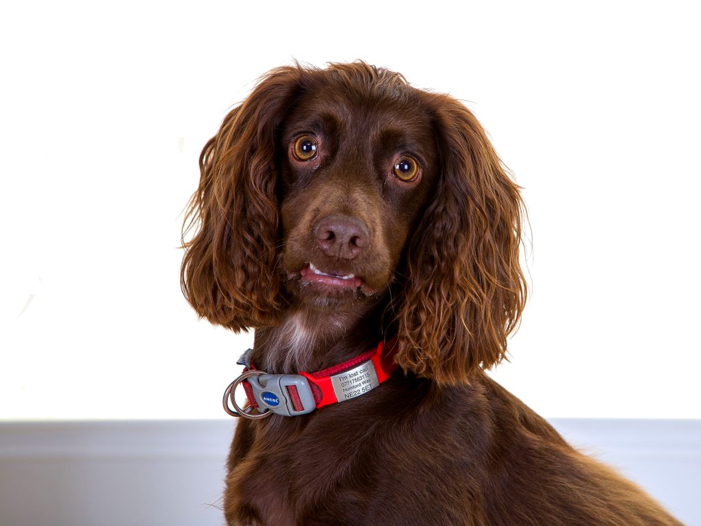 Gallery 2025 158 Una Adlam