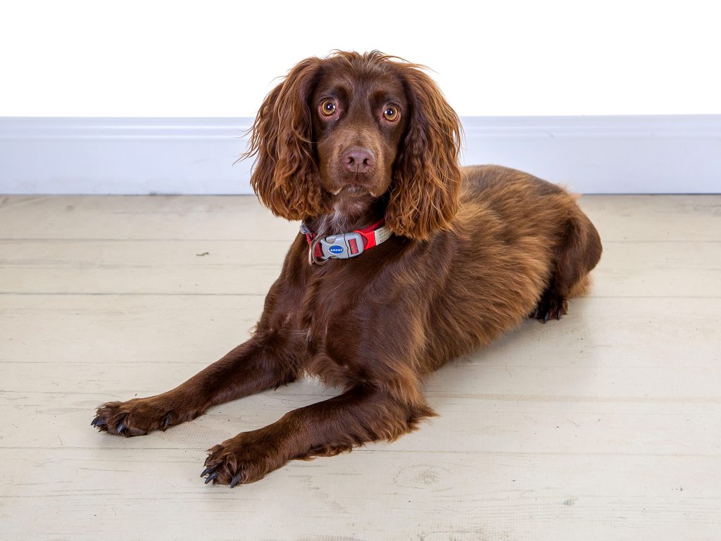 Gallery 2025 159 Una Adlam