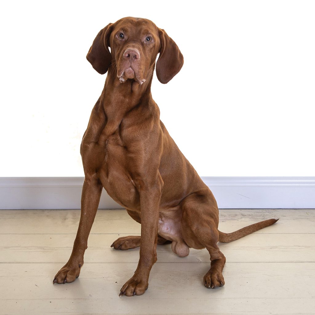 Gallery 2025 160 Vinnie Myers