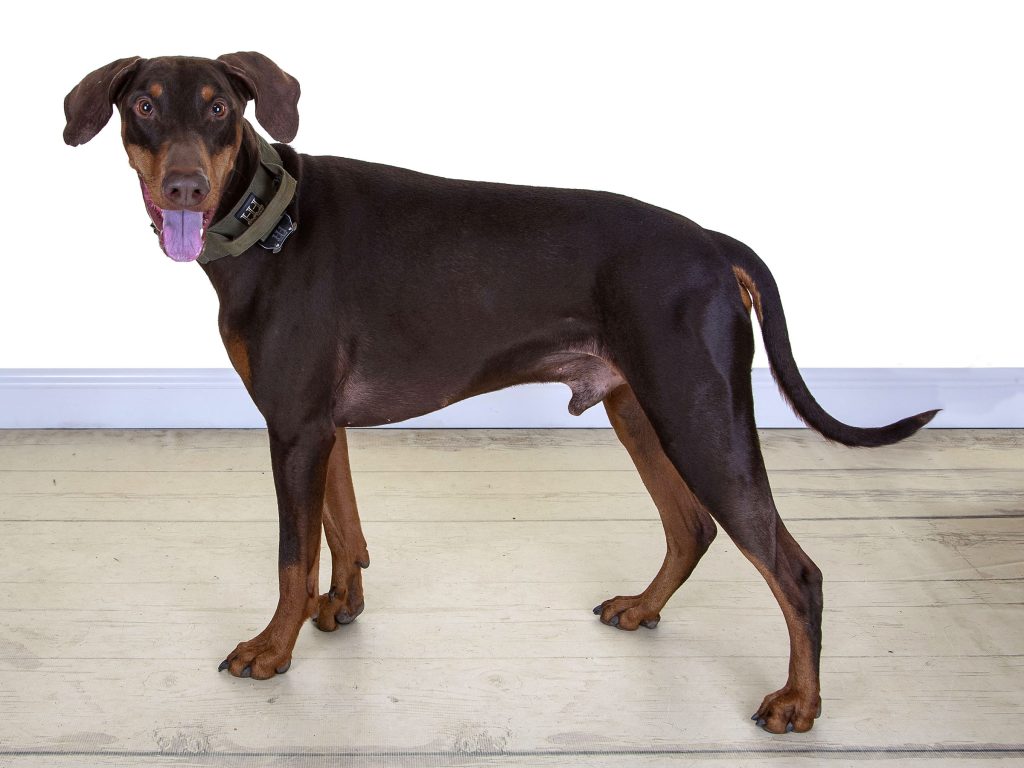 Gallery 2025 161 Vinnie Wheatley