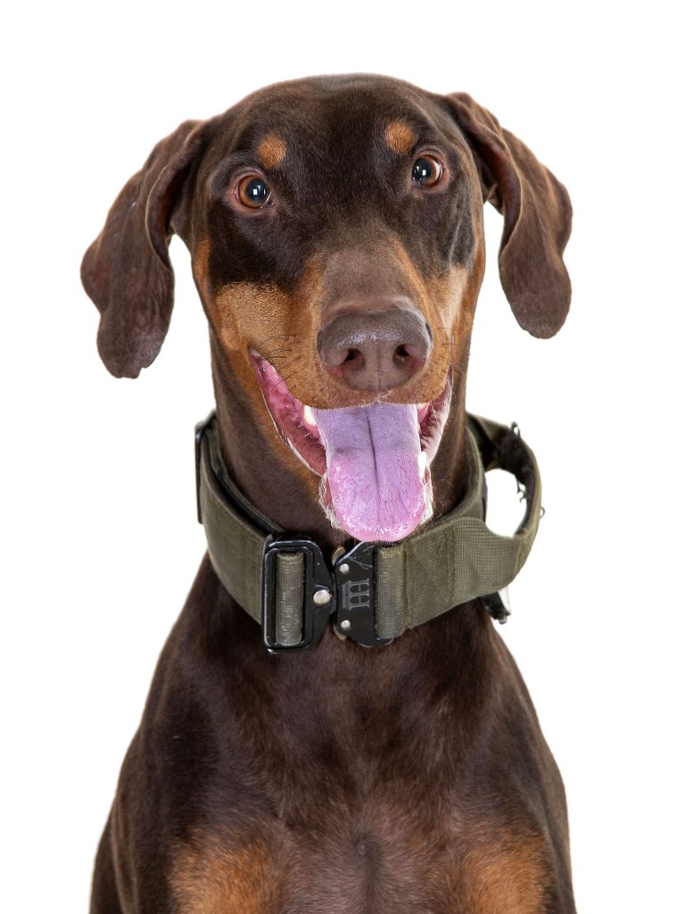 Gallery 2025 162 Vinnie Wheatley