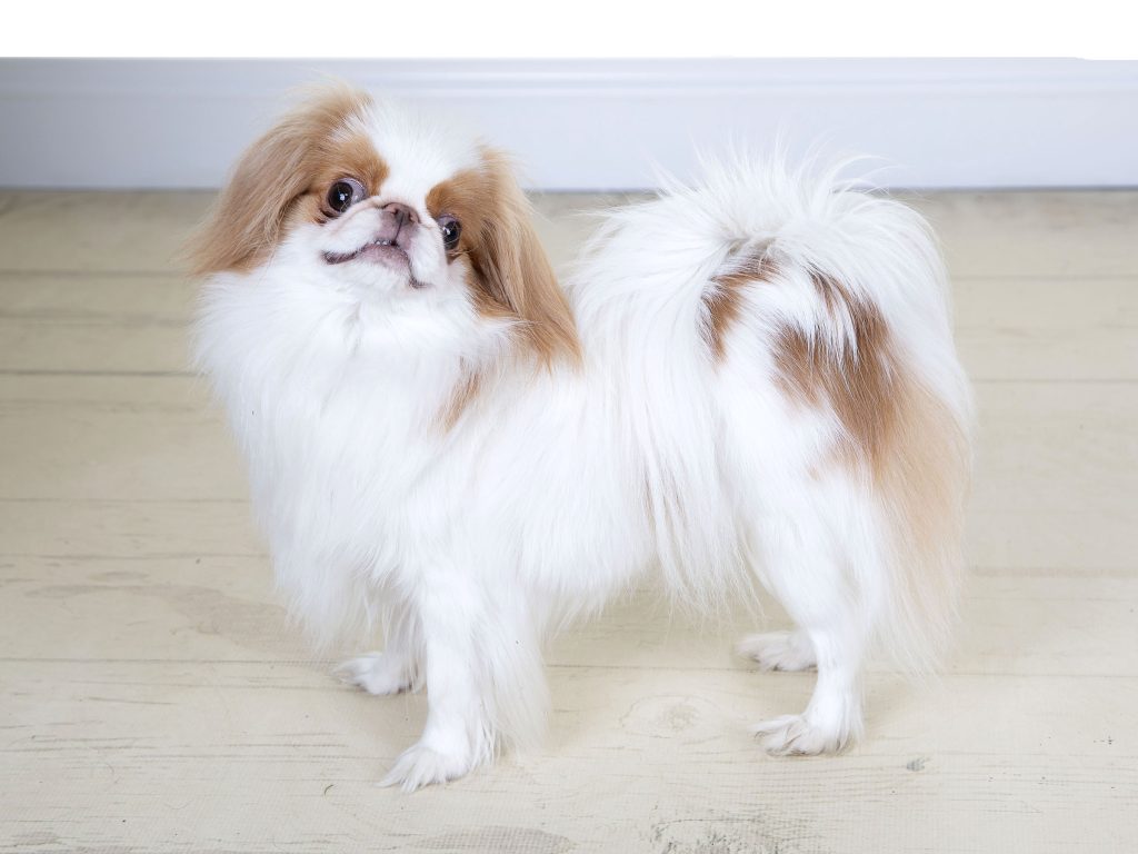 Gallery 2025 163 Vivian Potts