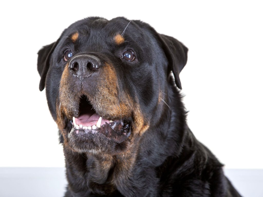 Gallery 2025 21 benson mehat