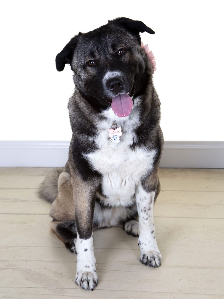 Gallery 2025 46 doris blakeston