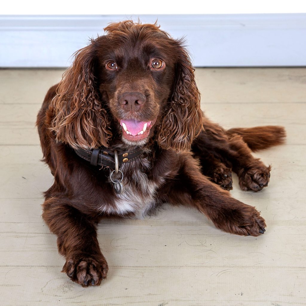 Gallery 2025 48 dougie kinghorn