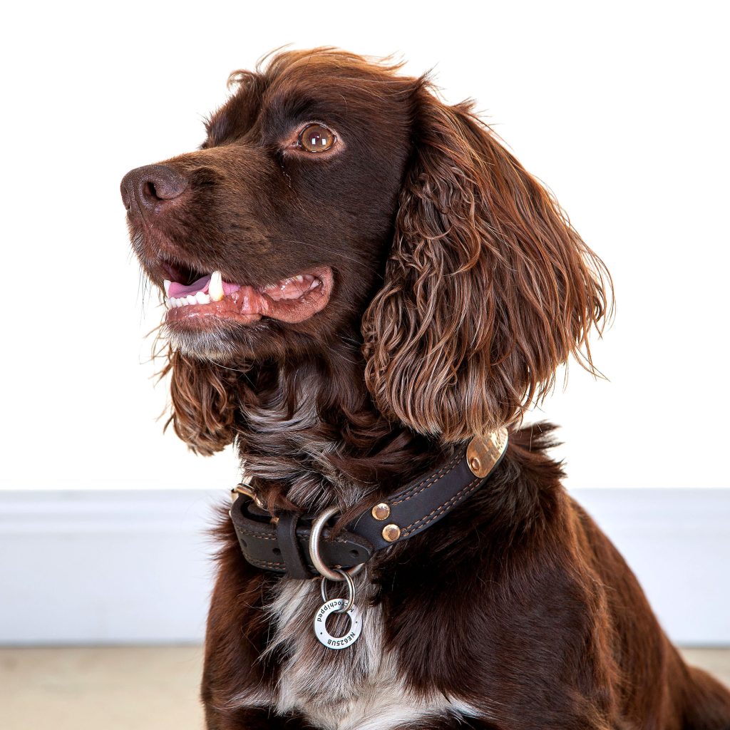 Gallery 2025 47 dougie kinghorn