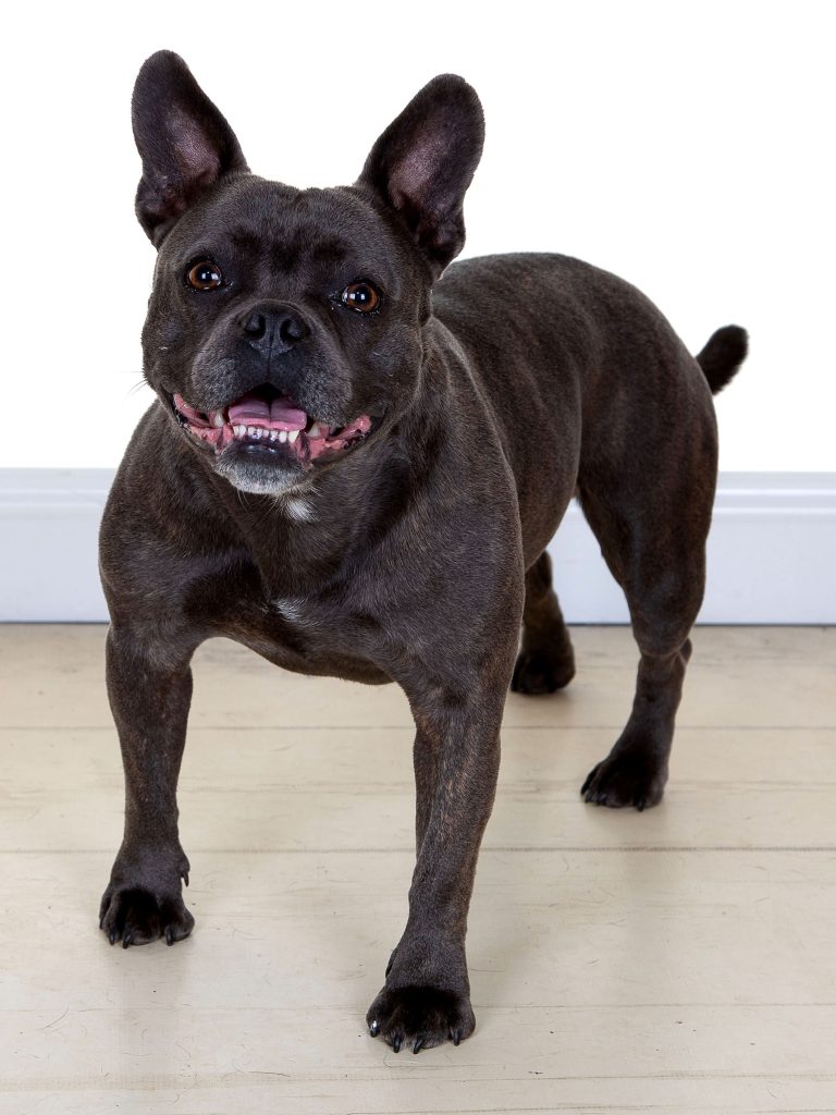 Gallery 2025 55 framkie Legender