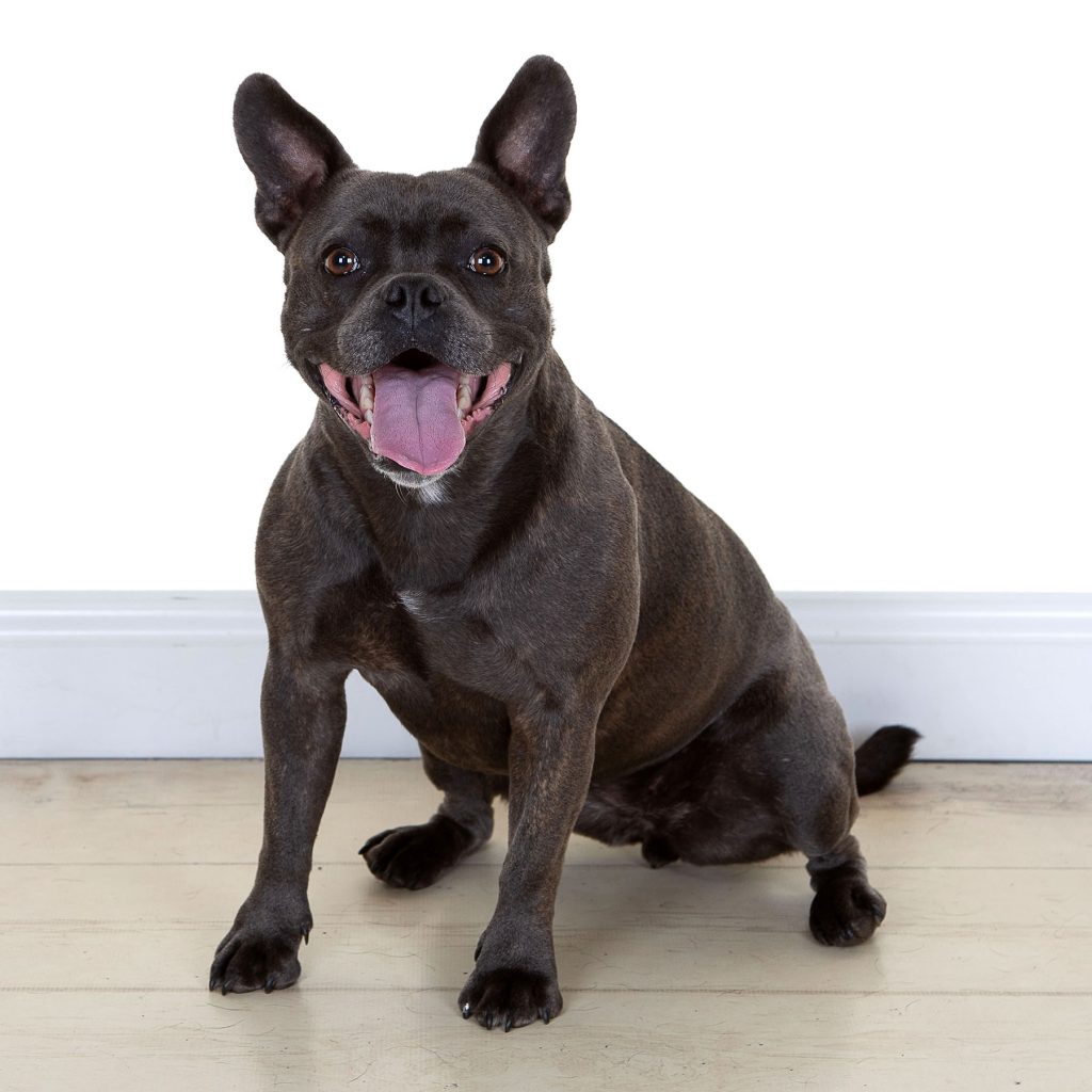 Gallery 2025 56 framkie Legender