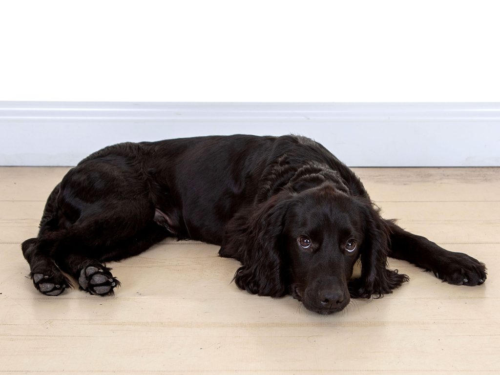 Gallery 2025 60 gunner taylor-allen