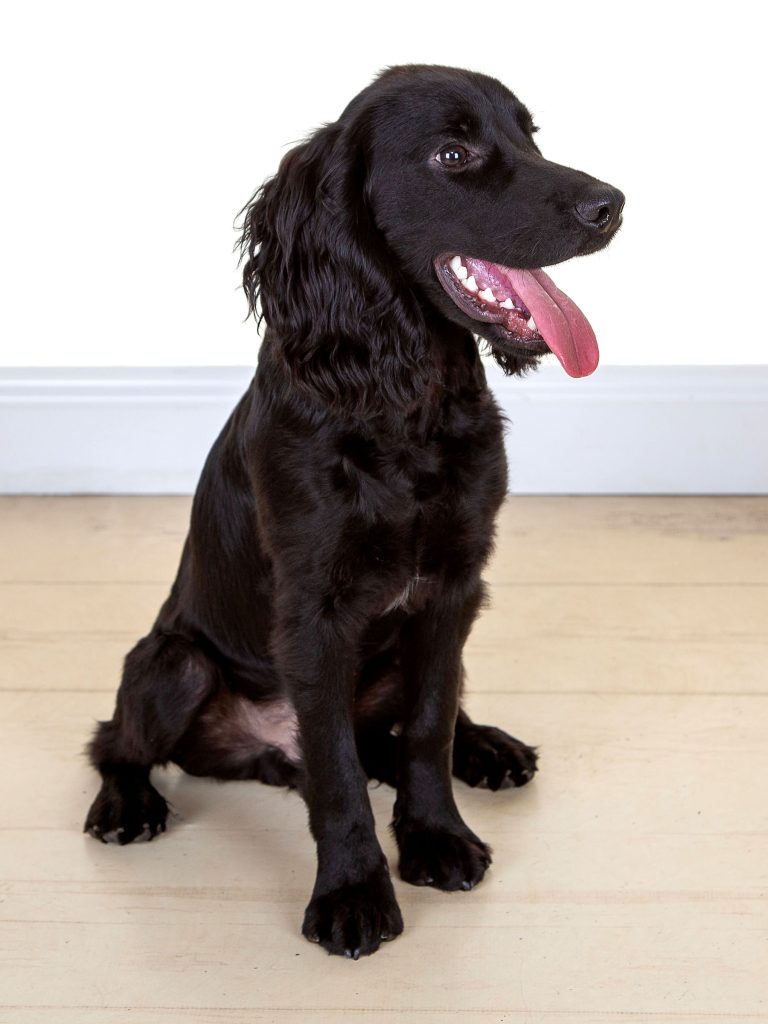 Gallery 2025 61 gunner taylor-allen