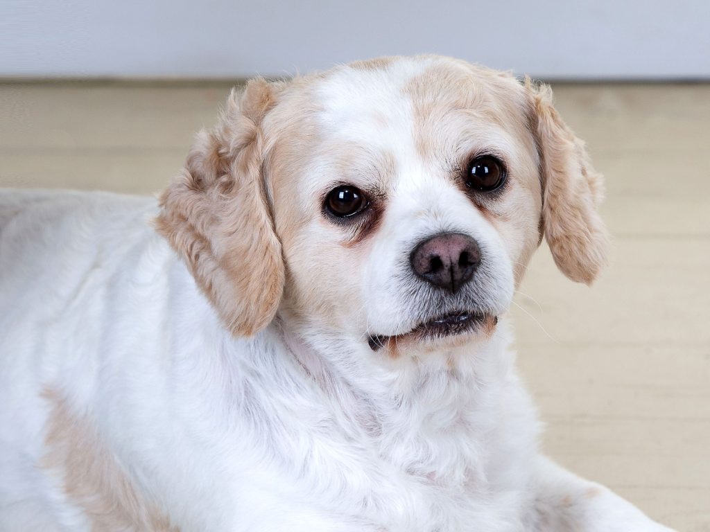 Gallery 2025 62 harry wilson