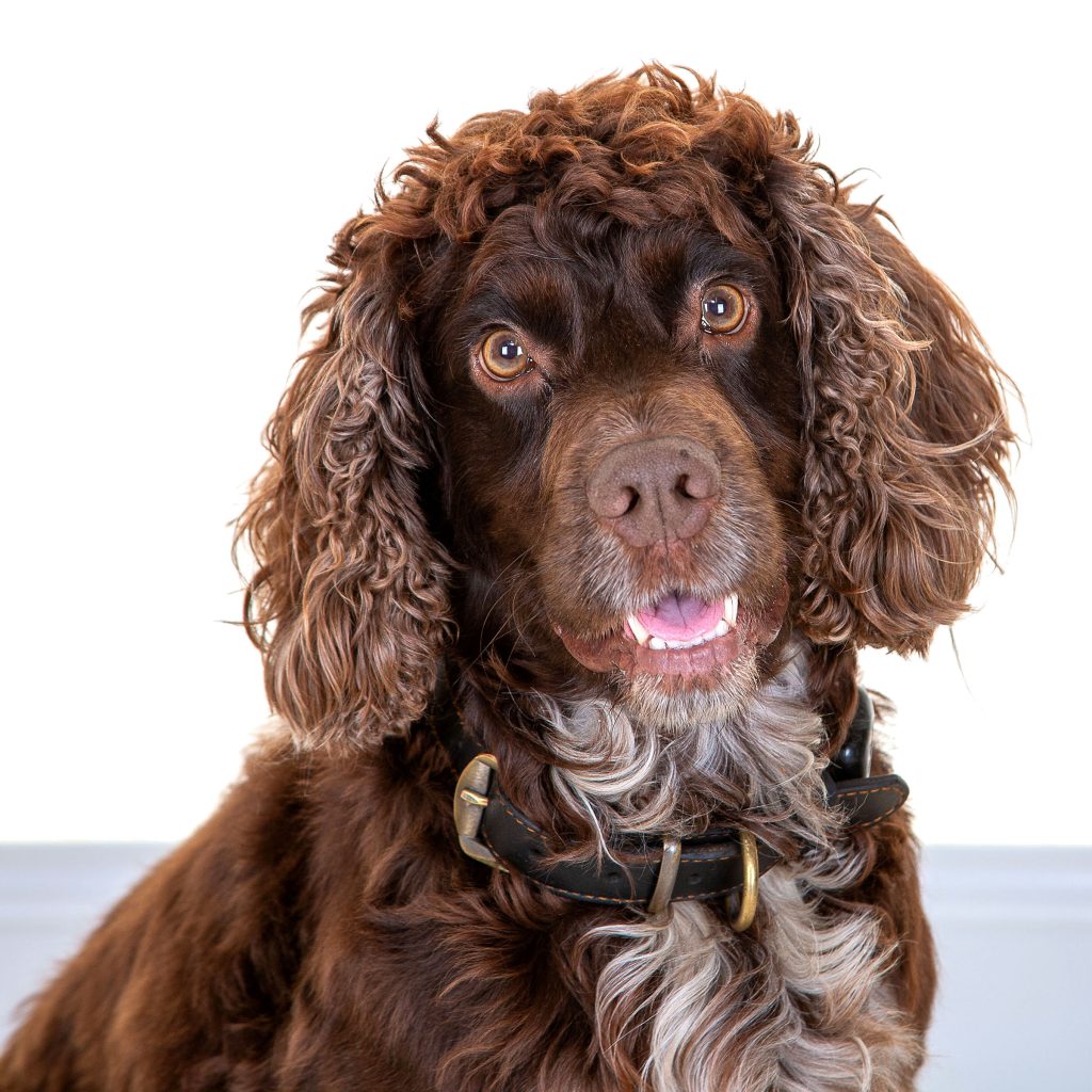 Gallery 2025 64 harvey kinghorn