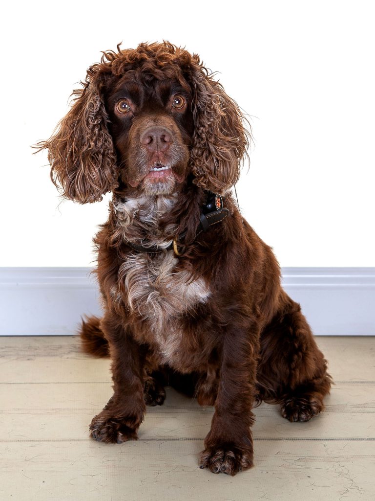 Gallery 2025 65 harvey kinghorn