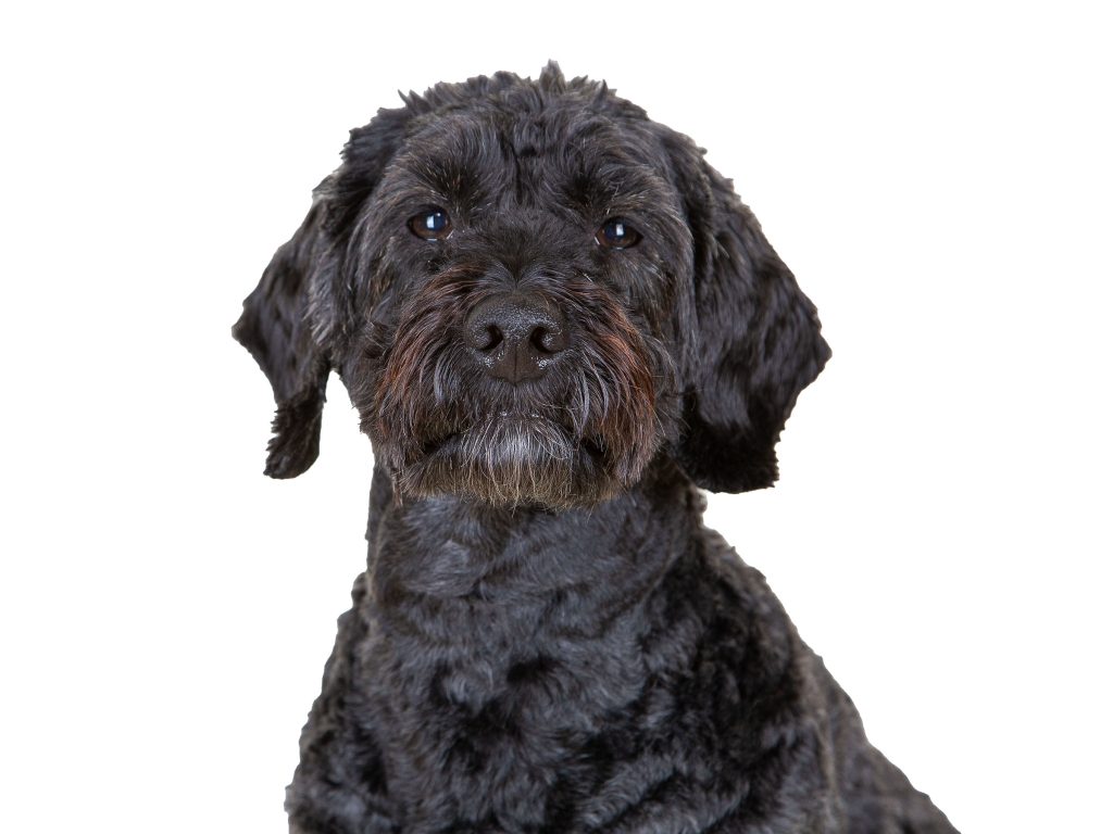 Gallery 2025 72 henry bowler