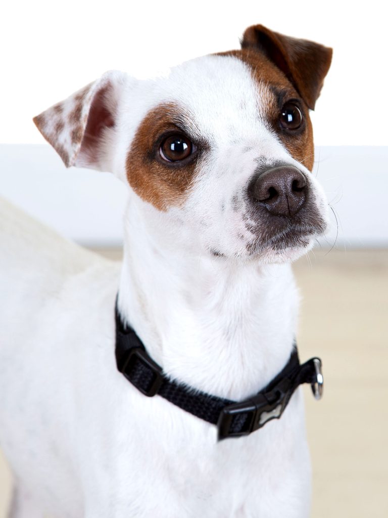 Gallery 2025 73 henry lindop