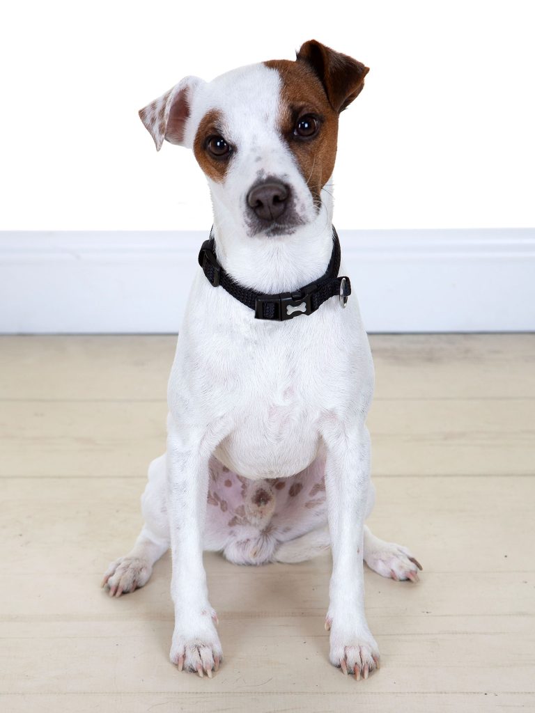 Gallery 2025 74 henry lindop