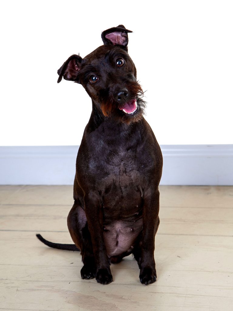 Gallery 2025 91 kira Booth