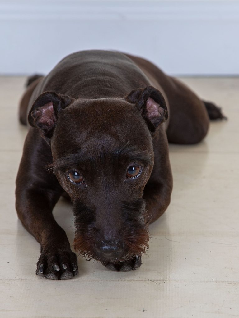 Gallery 2025 93 kira Booth